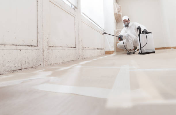 24/7 Emergency Mold Remediation experts in Odessa, TX