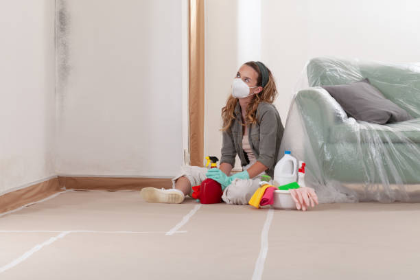 Reliable Mold Remediation contractor in Odessa, TX by Car Mold Remediation
